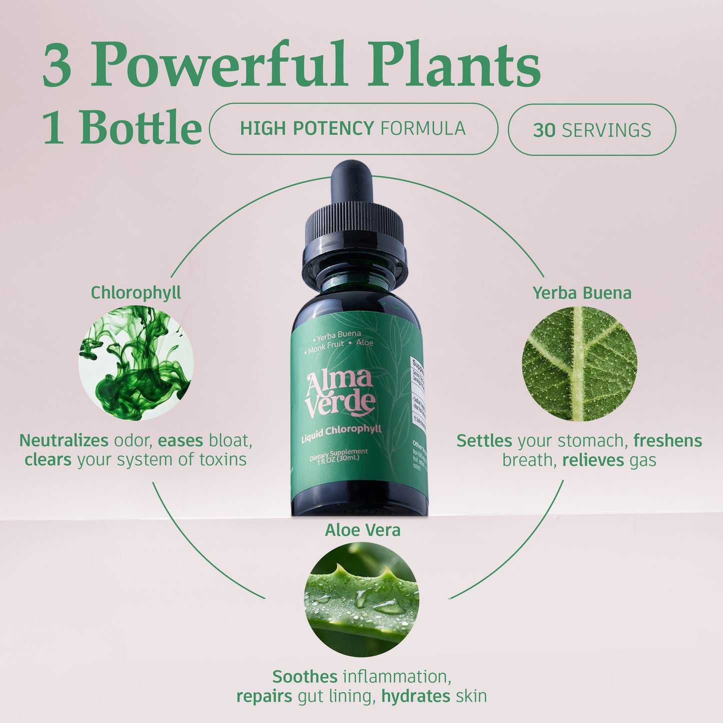 Alma Verde - Liquid Chlorophyll